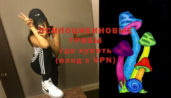 спайс Лагань