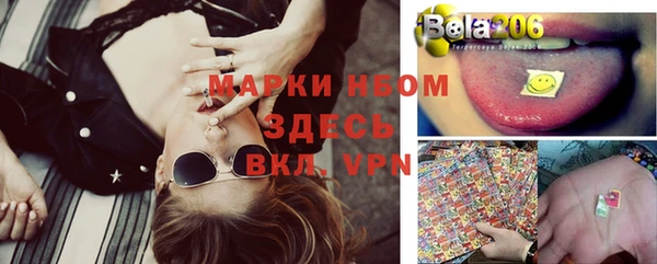 стаф Куйбышев
