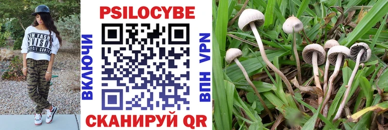 где купить наркотик  Покровск  мориарти телеграм  Псилоцибиновые грибы Magic Shrooms 